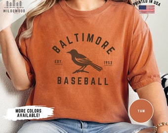 Baltimore Orioles Shirt, Retro Baltimore Orioles Baseball Tshirt, Retro Sports Tee, Orioles Baseball Shirt, Baltimore Sports Fan Apparel