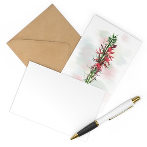 Postais Flor Cardinal (7 pcs)