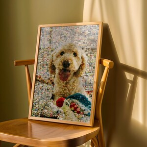 Golden Doodle pet remembrance frame alternative featuring a bright custom photo mosaic. Personalized dog memorial artwork, framed on a wooden chair with natural light for a warm and heartfelt tribute.