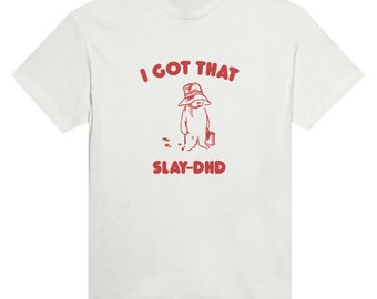 Ik heb dat Slay Dhd Shirt, sarcastische T-shirt, zwaargewicht Unisex grappig T-shirt