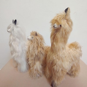 May include: Three plush alpaca toys, one white, one light brown, and one darker brown. The toys are standing on a light brown surface.
