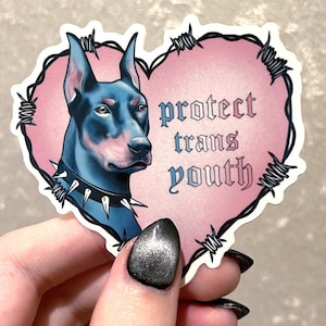 Protect Trans Youth Sticker