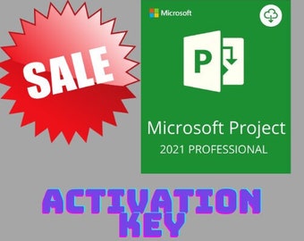 Microsoft Project Professionnel 2021