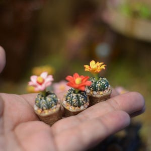 Handmade Clay Miniature Star Cactus: Dollhouse Garden Decor