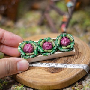 Miniature Red Cabbage in the Raised Garden Bed: Handmade Clay Vegetable Plot for Miniature Kitchen/Shop/Dollhouse/Garden Decoration.