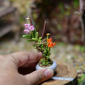 Miniature Clay Orchid Vine on Real Branch: Dollhouse Fairy Garden Decor