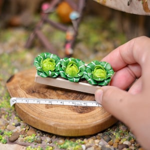 Miniature Cabbage in the Raised Garden Bed: Handmade Clay Vegetables Plot for Miniature Kitchen/Shop/Dollhouse/Garden Decoration.