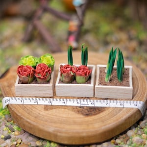 Handmade Clay Miniature Vegetable Garden: Dollhouse Spring Onion & Cabbage