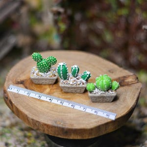 Miniature Cactus in the Small Square Flower Pot: Handmade Clay Plant/Flower for Miniature Garden/Shop/Dollhouse Decoration