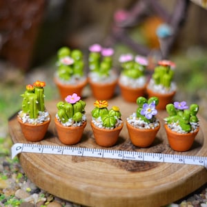 Miniature Cactus in the small pot: Handmade Clay Plant/Flower for Miniature Garden/Shop/Dollhouse Decoration