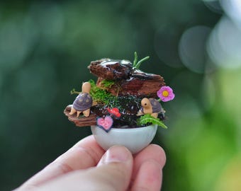 Miniatuurkleischildpadpoppen, klein terrariumdiorama
