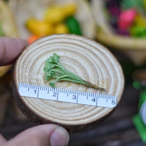 May include: A miniature green vegetable, approximately 5 cm long, is placed on a small wooden slice. A ruler is placed next to the vegetable for scale. The background includes blurred miniature food items.