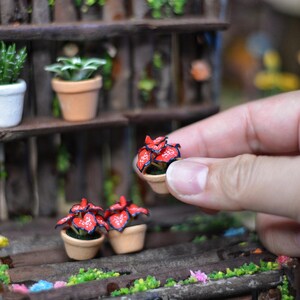 May include: A miniature wooden shelf with potted plants. The shelf has three levels and is decorated with small branches. The plants are a variety of succulents and leafy greens. The shelf is a miniature garden scene.