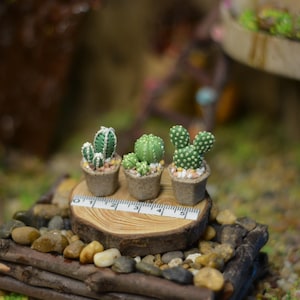 Miniature Cactus in the small pot: Handmade Clay Plant/Flower for Miniature Garden/Shop/Dollhouse Decoration