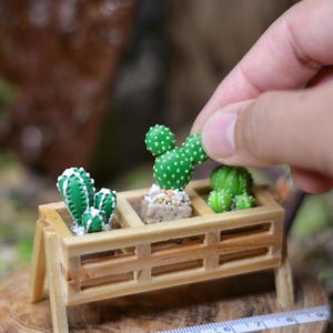 Handmade Miniature Cactus in Pot: Dollhouse Garden Decor