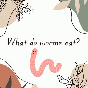May include: A pink worm with a smiling face is on a white background with brown and green abstract shapes and black line drawings of leaves. The text "What do worms eat?" is written in black above the worm.