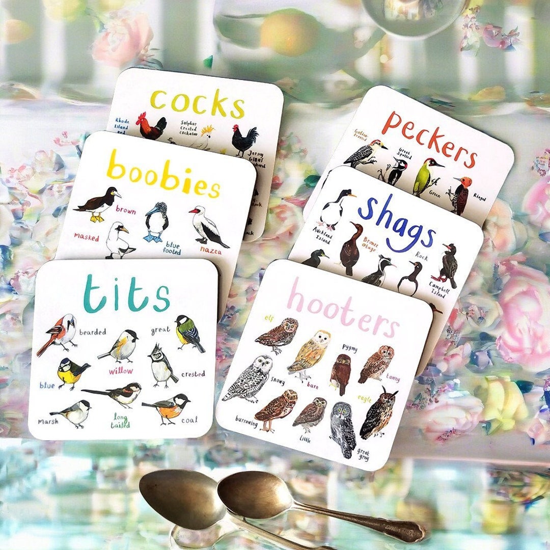 2024 New CS1-6SET Handmade Acrylic Bird Pun Coasters Pvc/wooden ...