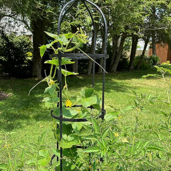 Heavy Duty Garden Trellis Plastic Coated Obelisk Garden Trellis for Climbing Plants Garden Potted Plant Support Rustproof Black 70.8" Tall