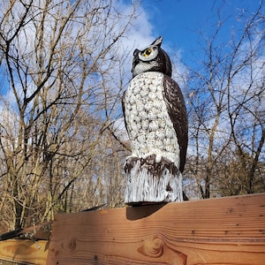 Ultra Realistic Owl Scarecrow 360-degree Rotating Head Fake Owl Decoy to Scare Birds Away from Gardens Rooftops and Patios 18" H