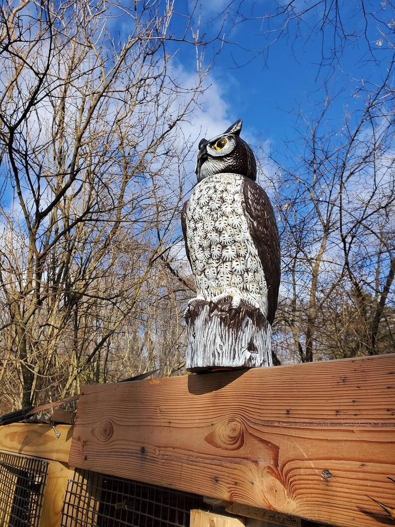 Ultra Realistic Owl Scarecrow 360degree Rotating Head Fake Owl Decoy