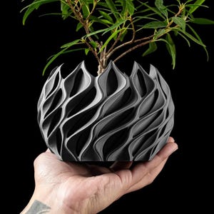 May include: A grey, 3D printed planter with a wavy, organic design. A small green plant is growing inside the planter.