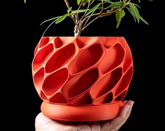 May include: A bright orange, 3D printed planter with a honeycomb design. The planter has a small base and is holding a small green plant.