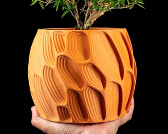 May include: A vibrant orange plant pot with a distinctive layered design, holding a small green plant. The pot is 3D-printed and features a series of curved openings. The design creates a modern, artistic aesthetic. The background is dark.