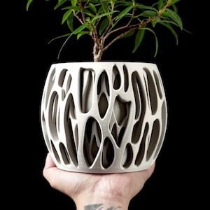 Może przedstawiać: Biała ceramiczna doniczka o skomplikowanym, organicznym, ażurowym wzorze. Doniczka zawiera małą zieloną roślinę.