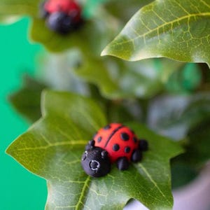 Unsere Critter Minis