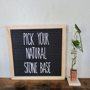 Könnte beinhalten: Eine schwarze Filz-Buchstabentafel mit dem Text "PICK YOUR NATURAL STONE BASE" in weißen Buchstaben. Ein durchsichtiges Glas-Vermehrungsrohr mit Kupferbasis und Marmorsockel hält einen Pflanzensteckling. Die Tafel befindet sich in einem hellen Holzrahmen.
