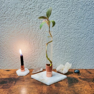 Peut inclure: Une petite plante verte aux tiges roses pousse dans un tube en verre transparent avec une base en cuivre. Le tube est posé sur une base carrée en marbre blanc. Une bougie noire est allumée sur une base carrée en marbre blanc à gauche de la plante.