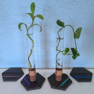 May include: Two glass test tubes with copper bases are filled with water and contain small plants. The test tubes are sitting on black hexagonal coasters with iridescent accents.