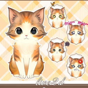 Five Color Cat Vtuber Model: Fully Rigged Live2D
