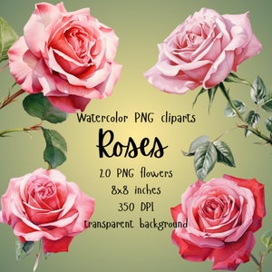 Watercolor Rose Clipart, Pink Floral Clipart, Rose Clip Art, Vintage Roses Clipart, Watercolor Roses, PNG, Commercial Use