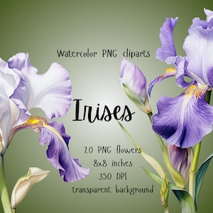 Watercolor Iris Clipart, Purple Floral Clipart, Iris Clip Art, Vintage Irises Clipart, Watercolor Irises, PNG, Commercial Use