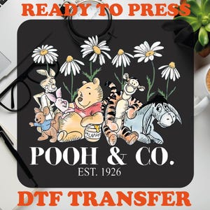 Pooh & Friends Groovy Disney DTF Heat Press Transfer