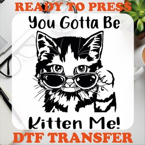 Cat DTF Transfer: You Gotta Be Kitten Me, Ready To Press