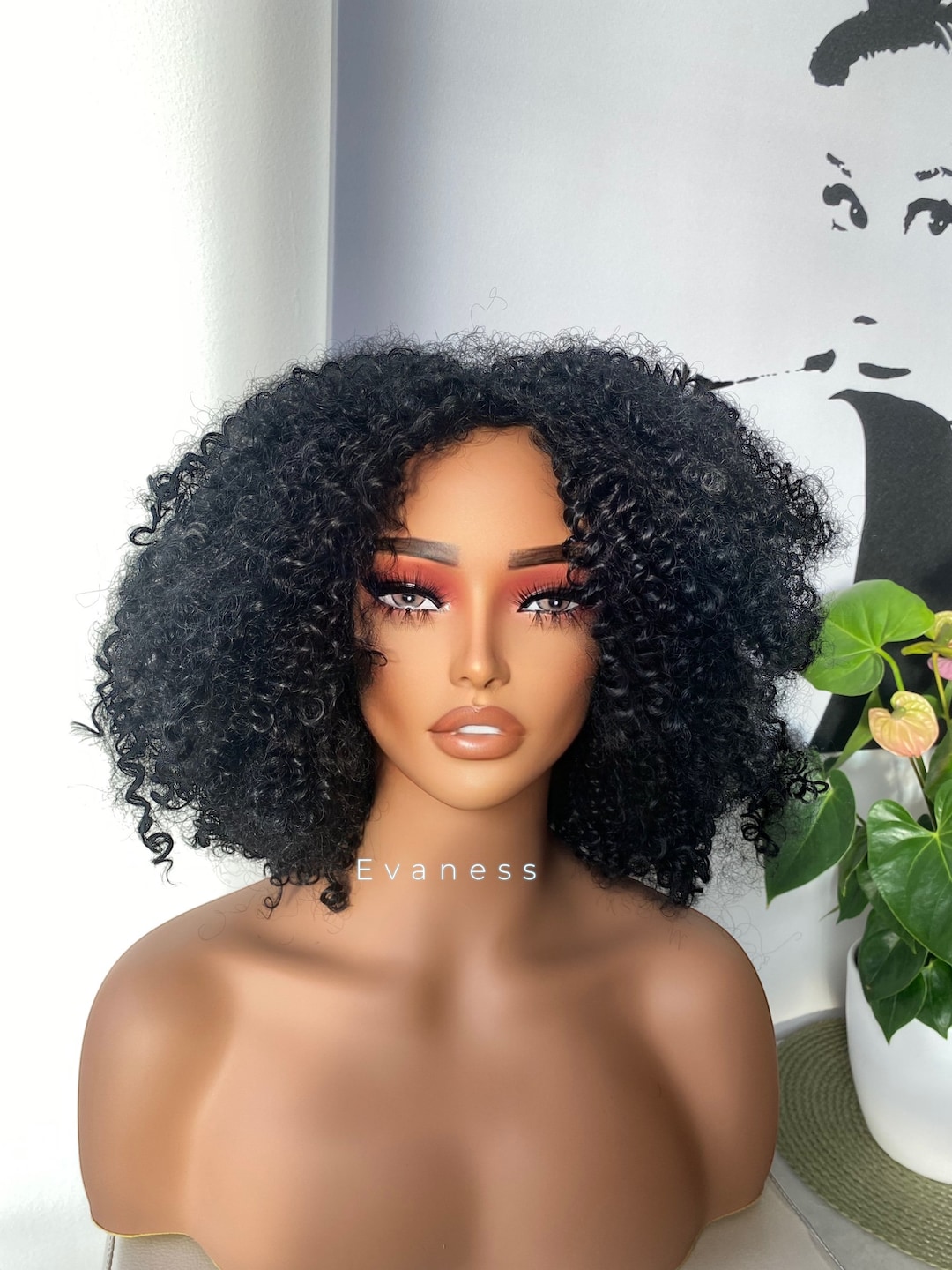 Crisp Black Afro Wig Photo for Your Screen Crisp Black Afro Wig Photo for Your Screen