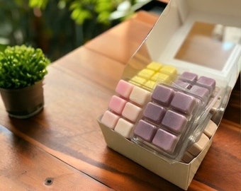 Op de afbeelding: Een witte doos met een doorzichtig plastic deksel met drie sets wasblokjes. De wasblokjes zijn in een rasterpatroon gerangschikt en zijn in tinten paars, roze en geel.