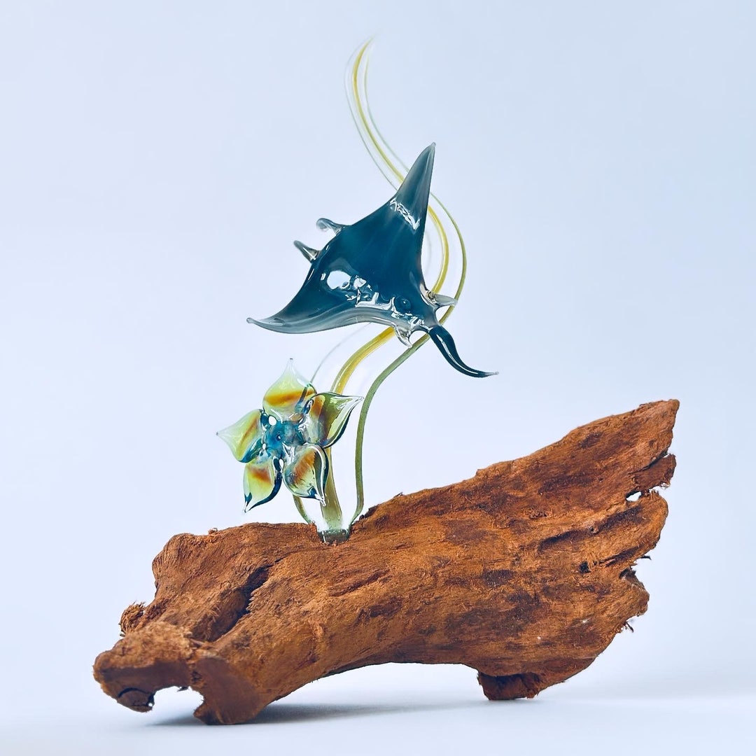 Manta Ray Glass Manta Ray Manta Ray Seaweed Flower Manta Ray Sculpture