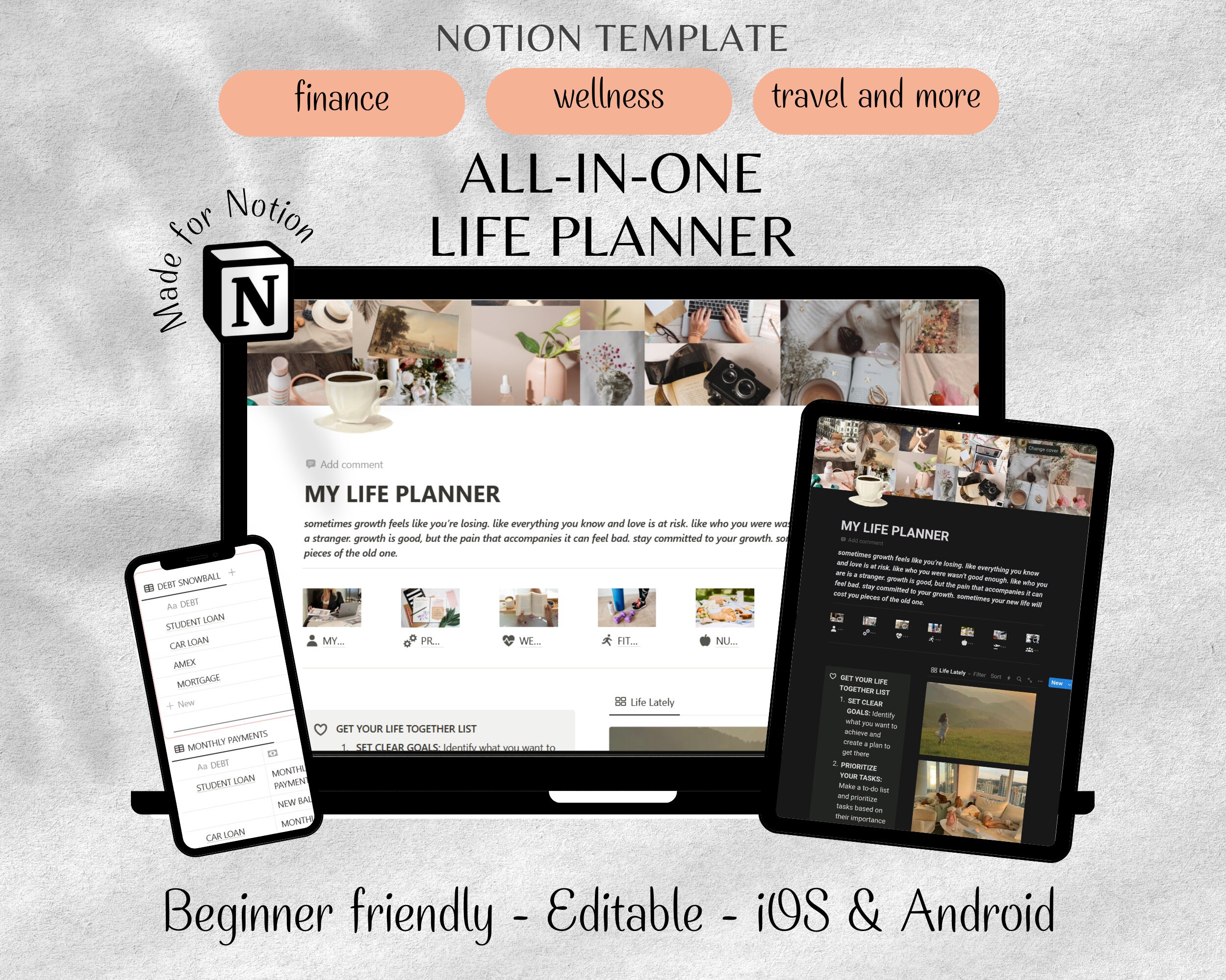 All in One Notion Template, 2024 Notion Ultimate Life Planner ...