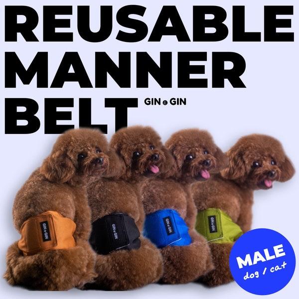 GTG Reusable and Washable Male Dog Manner Belt / Belly Band