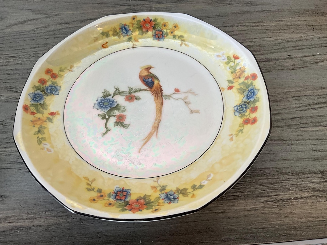 MZ Altrohlau Golden Pheasant Antique Plate - Etsy