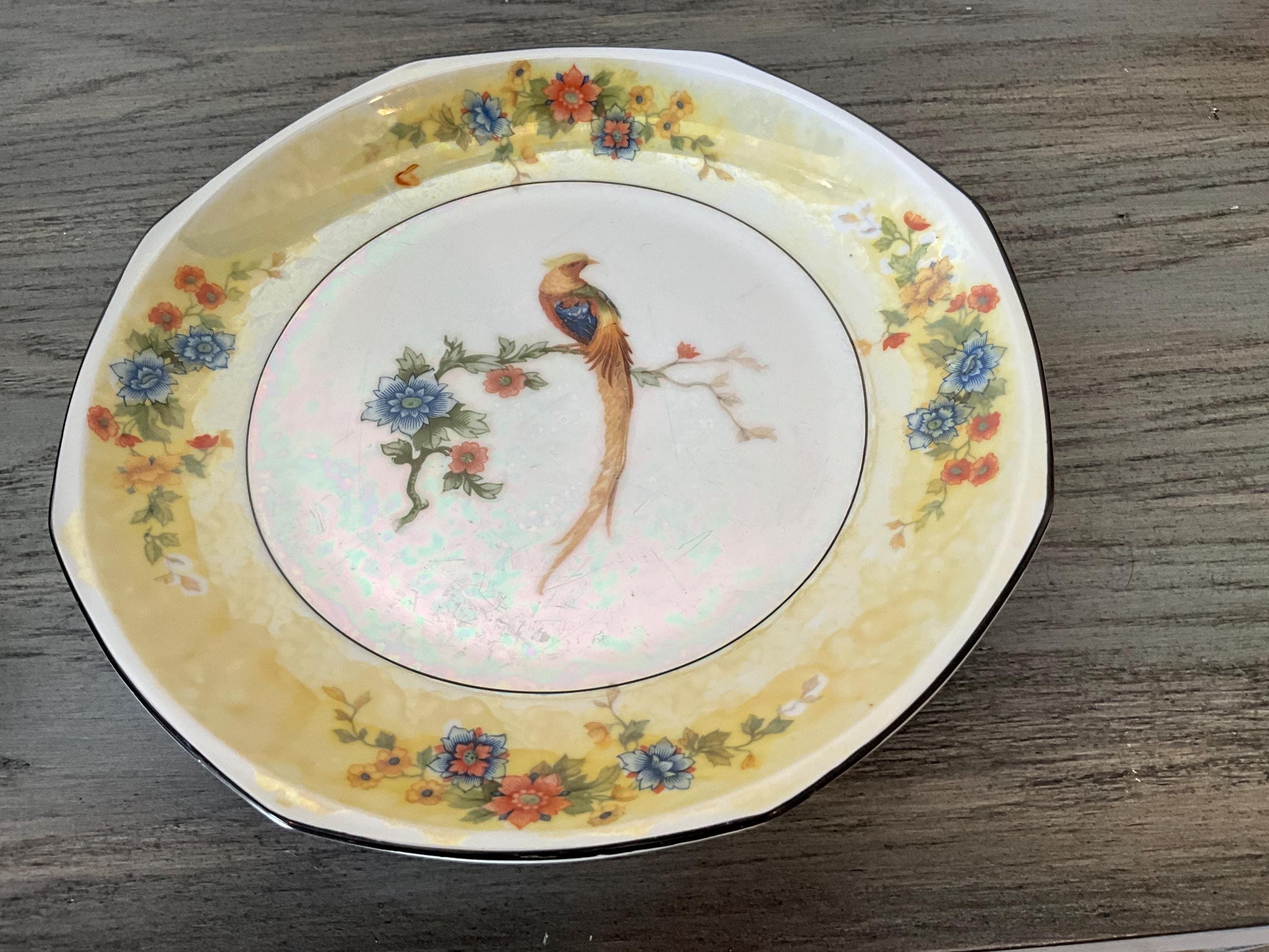 Catalogue Of Periodicals 1917（Maruzen丸善） MZ Altrohlau Golden Pheasant Antique Plate - Etsy