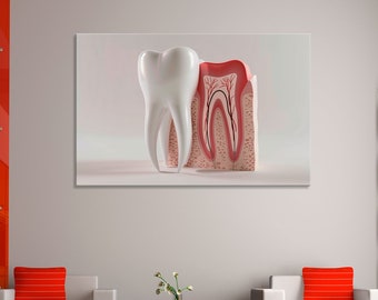 May include: A white tooth model next to a cross-section of a tooth showing the internal structure. The tooth model is on a white background.