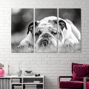 Bulldogge Leinwanddruck, Hundeliebhaber Wandkunst, Bulldogge Dekor, Charmante Hunde Leinwand, Haustier Porträt Wandkunst, Bulldogge Kunstdruck, Canine ART