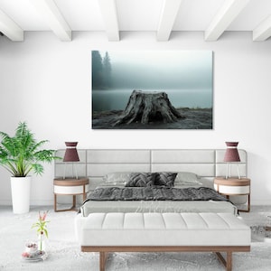 Tree Stump Art, Natural Wood Texture, Rustic Tree Decor