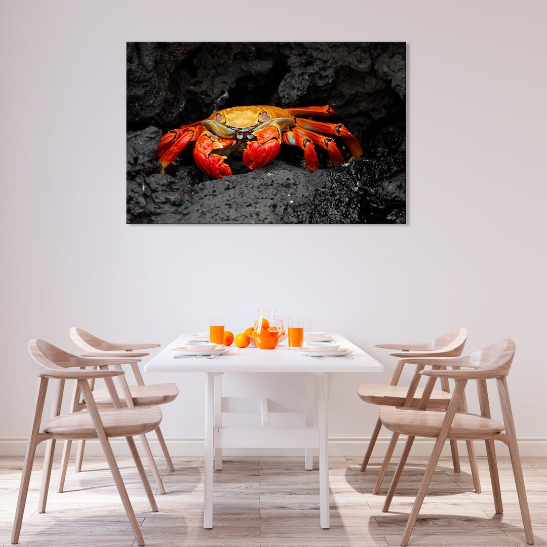 Crab Canvas Print - Etsy