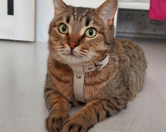 DIY leren kattenharnaspatroon - Maak een stijlvol en comfortabel kattenaccessoire