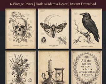 Memento Mori Art Set, 6 Vintage Skull Prints for Dark Academia Decor